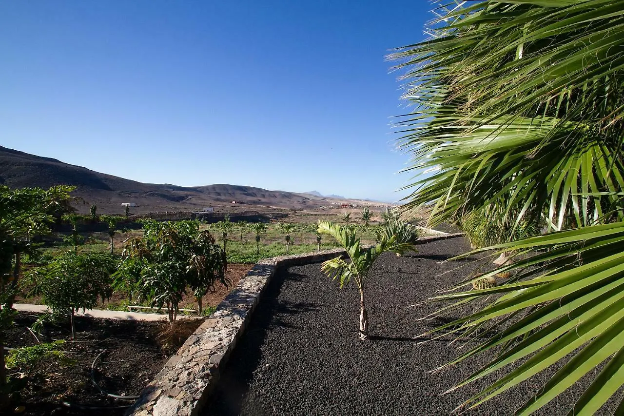 Finca Arbequina Pajara  0*, Pajara (Fuerteventura)