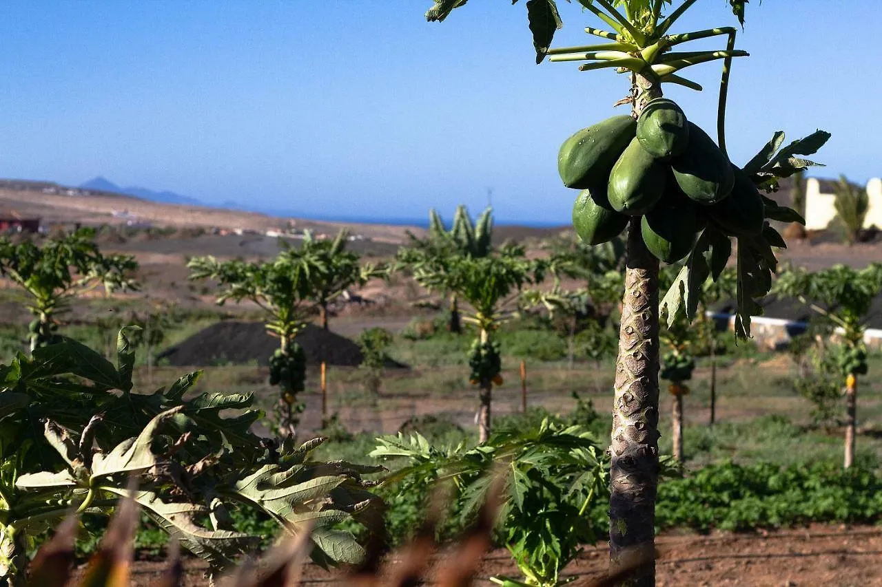 Vakantiehuis Finca Arbequina Villa Pájara